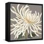 Glorious Whites I-Judy Shelby-Framed Stretched Canvas