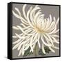 Glorious Whites I-Judy Shelby-Framed Stretched Canvas