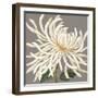 Glorious Whites I-Judy Shelby-Framed Art Print