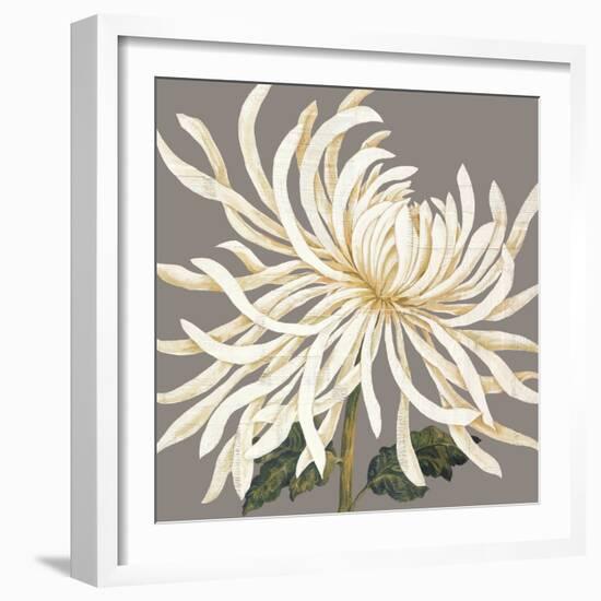 Glorious Whites I-Judy Shelby-Framed Art Print