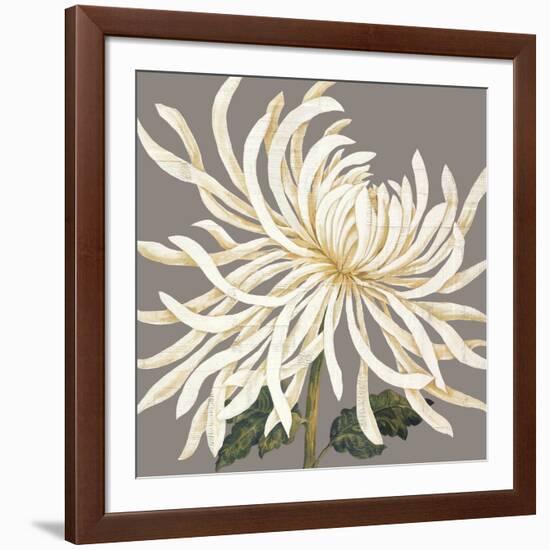 Glorious Whites I-Judy Shelby-Framed Art Print