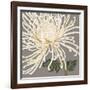 Glorious Whites II-Judy Shelby-Framed Art Print