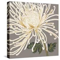 Glorious Whites II-Judy Shelby-Stretched Canvas