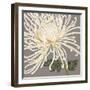 Glorious Whites II-Judy Shelby-Framed Art Print