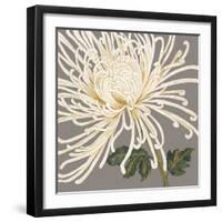 Glorious Whites II-Judy Shelby-Framed Art Print