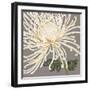 Glorious Whites II-Judy Shelby-Framed Art Print