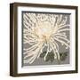 Glorious Whites II-Judy Shelby-Framed Art Print