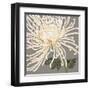 Glorious Whites II-Judy Shelby-Framed Art Print