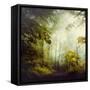 Glorious Woods-Dirk Wuestenhagen-Framed Stretched Canvas