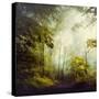 Glorious Woods-Dirk Wuestenhagen-Stretched Canvas