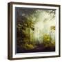 Glorious Woods-Dirk Wuestenhagen-Framed Photographic Print