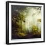 Glorious Woods-Dirk Wuestenhagen-Framed Photographic Print