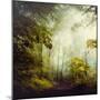 Glorious Woods-Dirk Wuestenhagen-Mounted Photographic Print