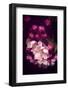 Glory to the Flowers-Philippe Sainte-Laudy-Framed Photographic Print