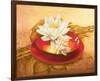 Glossy Bowl-Gerard Beauvoir-Framed Premium Giclee Print