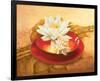 Glossy Bowl-Gerard Beauvoir-Framed Premium Giclee Print