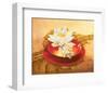 Glossy Bowl-Gerard Beauvoir-Framed Art Print