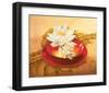 Glossy Bowl-Gerard Beauvoir-Framed Art Print