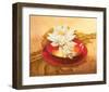 Glossy Bowl-Gerard Beauvoir-Framed Art Print