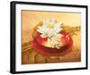 Glossy Bowl-Gerard Beauvoir-Framed Art Print