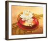 Glossy Bowl-Gerard Beauvoir-Framed Art Print