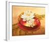 Glossy Bowl-Gerard Beauvoir-Framed Art Print