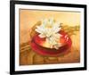 Glossy Bowl-Gerard Beauvoir-Framed Art Print