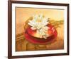 Glossy Bowl-Gerard Beauvoir-Framed Art Print