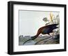 Glossy Ibis-John James Audubon-Framed Giclee Print