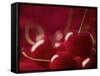 Glossy Red Cherries-Steve Lupton-Framed Stretched Canvas