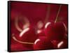 Glossy Red Cherries-Steve Lupton-Framed Stretched Canvas