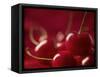 Glossy Red Cherries-Steve Lupton-Framed Stretched Canvas