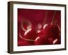 Glossy Red Cherries-Steve Lupton-Framed Photographic Print