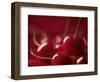 Glossy Red Cherries-Steve Lupton-Framed Photographic Print