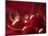 Glossy Red Cherries-Steve Lupton-Mounted Photographic Print