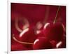 Glossy Red Cherries-Steve Lupton-Framed Photographic Print