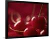 Glossy Red Cherries-Steve Lupton-Framed Photographic Print