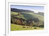 Glottertal in autumn, Black Forest, Baden-Wurttemberg, Germany-Markus Lange-Framed Photographic Print