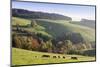 Glottertal in autumn, Black Forest, Baden-Wurttemberg, Germany-Markus Lange-Mounted Photographic Print