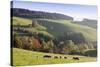 Glottertal in autumn, Black Forest, Baden-Wurttemberg, Germany-Markus Lange-Stretched Canvas