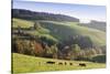 Glottertal in autumn, Black Forest, Baden-Wurttemberg, Germany-Markus Lange-Stretched Canvas