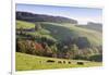 Glottertal in autumn, Black Forest, Baden-Wurttemberg, Germany-Markus Lange-Framed Photographic Print