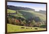 Glottertal in autumn, Black Forest, Baden-Wurttemberg, Germany-Markus Lange-Framed Photographic Print