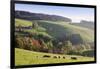 Glottertal in autumn, Black Forest, Baden-Wurttemberg, Germany-Markus Lange-Framed Photographic Print