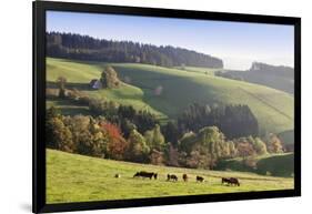 Glottertal in autumn, Black Forest, Baden-Wurttemberg, Germany-Markus Lange-Framed Photographic Print