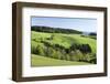 Glottertal Valley, Black Forest, Baden Wurttemberg, Germany-Markus Lange-Framed Photographic Print