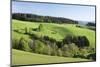 Glottertal Valley, Black Forest, Baden Wurttemberg, Germany-Markus Lange-Mounted Photographic Print