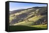 Glottertal Valley in Autumn, Black Forest, Baden Wurttemberg, Germany, Europe-Markus Lange-Framed Stretched Canvas