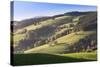 Glottertal Valley in Autumn, Black Forest, Baden Wurttemberg, Germany, Europe-Markus Lange-Stretched Canvas