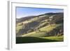 Glottertal Valley in Autumn, Black Forest, Baden Wurttemberg, Germany, Europe-Markus Lange-Framed Photographic Print